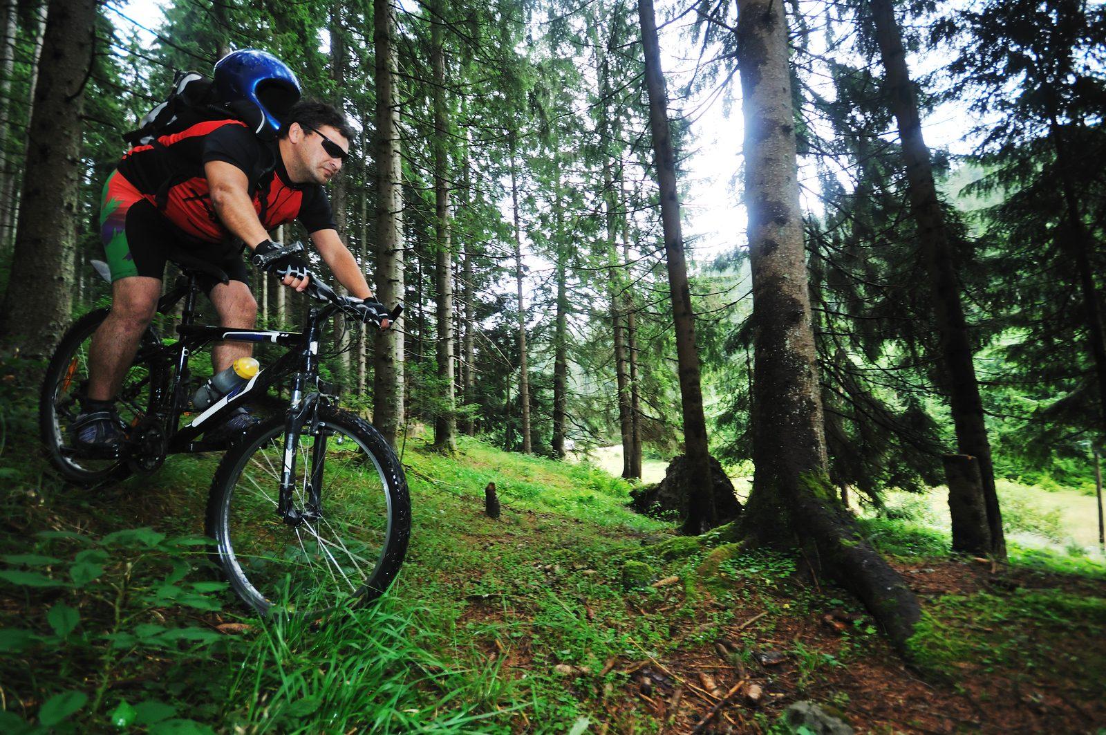 Mountain Biking and Trail Riding Around Bendigo: Tracks, Routes and Where to Start