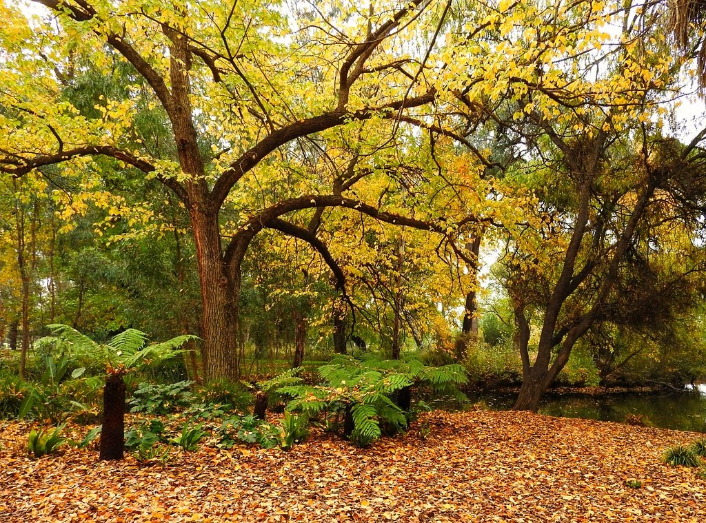 Bendigo’s 2026 Seasonal Activities Guide: What to Do This Winter