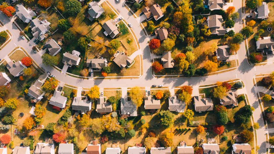 Pest Control and Termite Treatment in Bendigo 2026, Cost Guide and How to Find a Licensed Bendigo Pest Controller